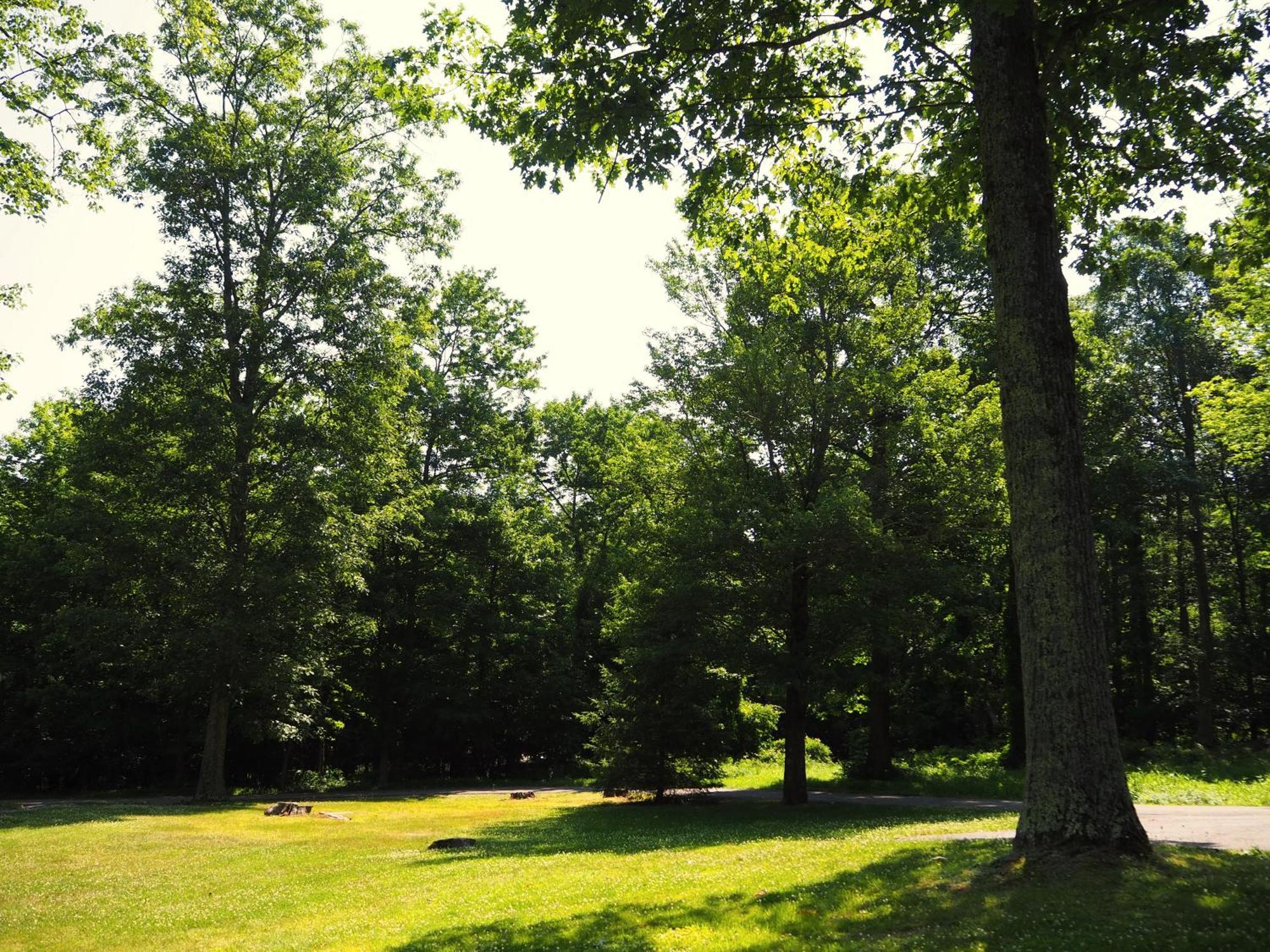 Woodfield Manor - A Sundance Vacations Property Cresco Extérieur photo