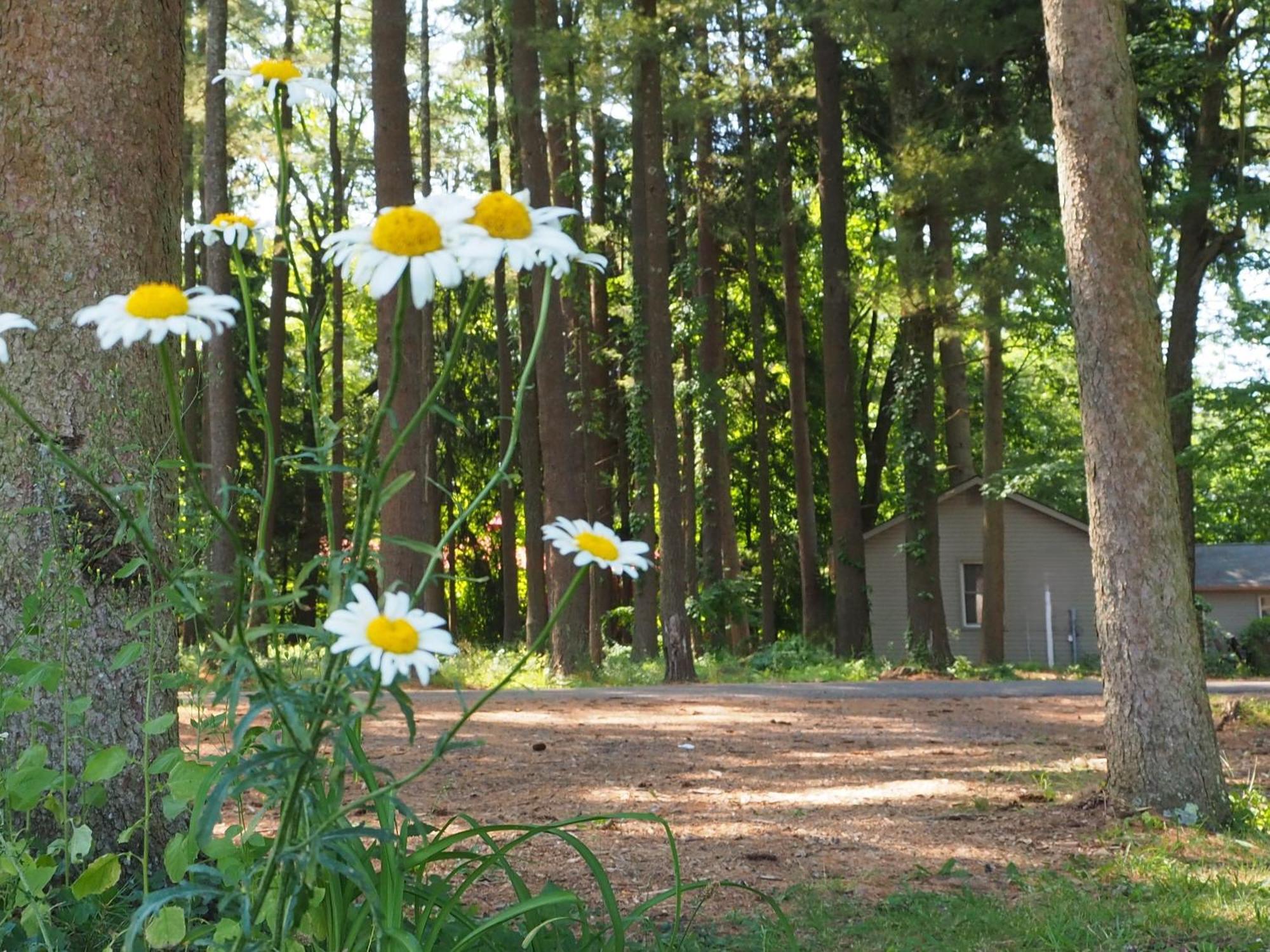 Woodfield Manor - A Sundance Vacations Property Cresco Extérieur photo